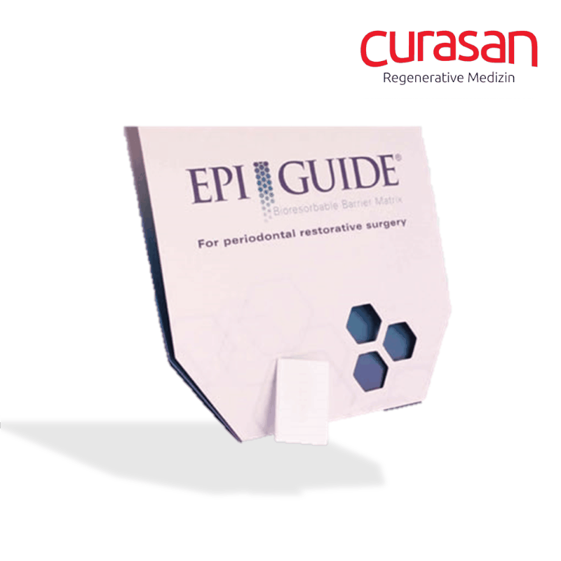 EpiGuide