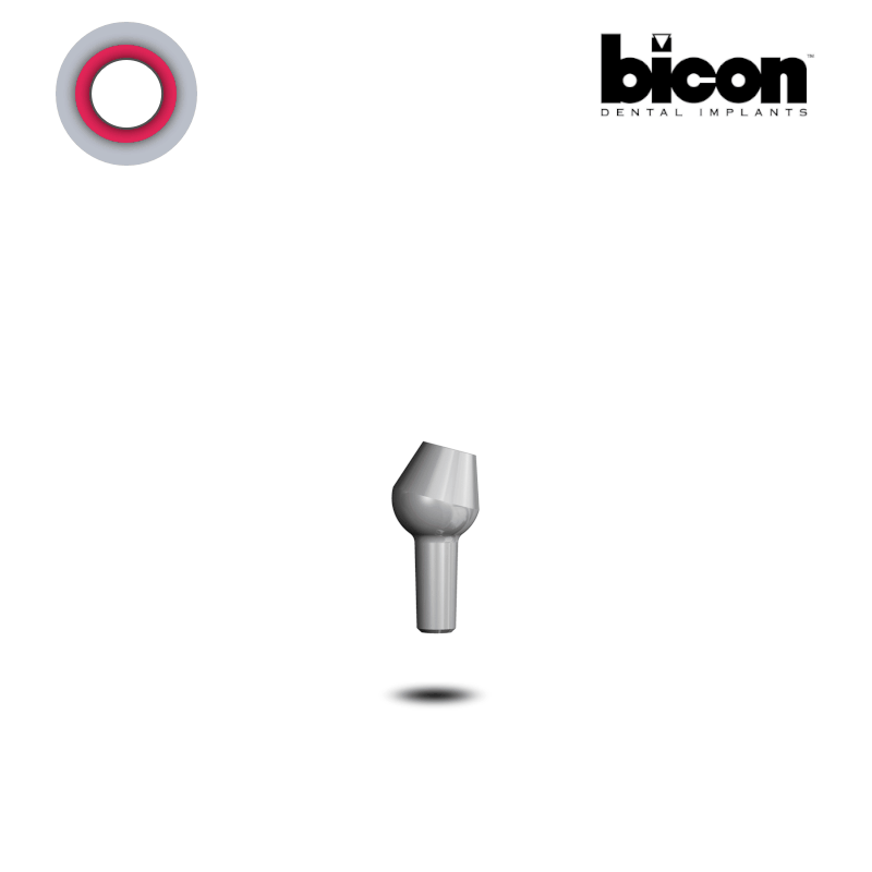 Bicon Steg Abutments 2,0 mm Schacht | 15° | Höhe: 3,0 mm | ohne Zubehör